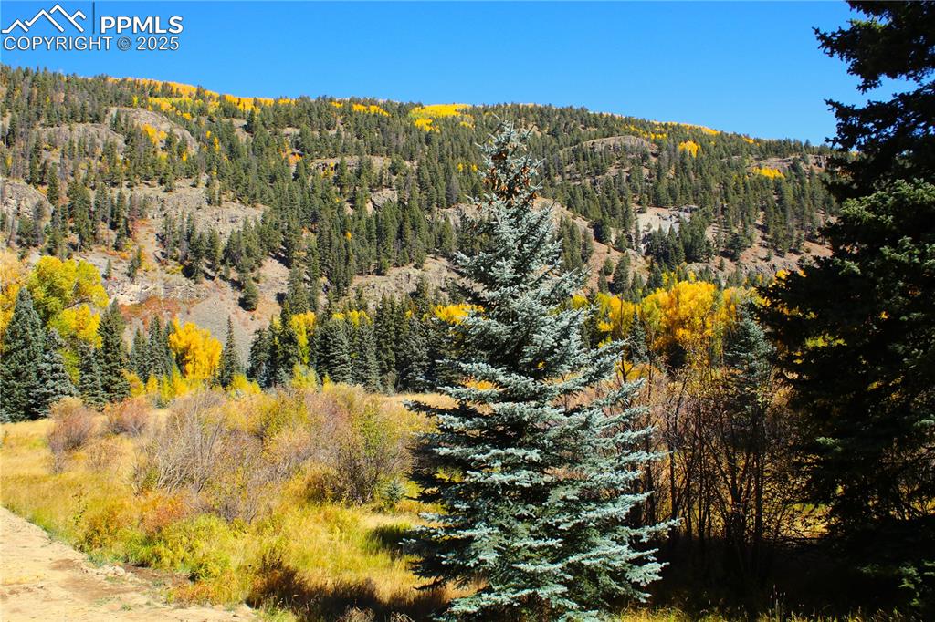 38938 Nf-250 Road Antonito CO 81120