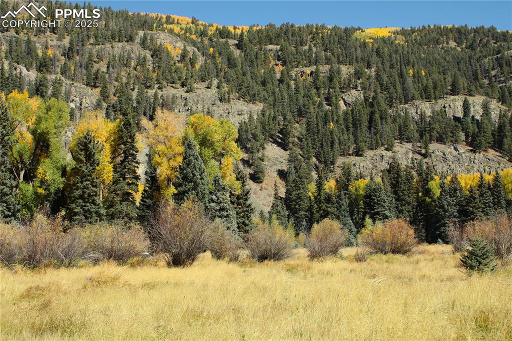 38938 Nf-250 Road Antonito CO 81120