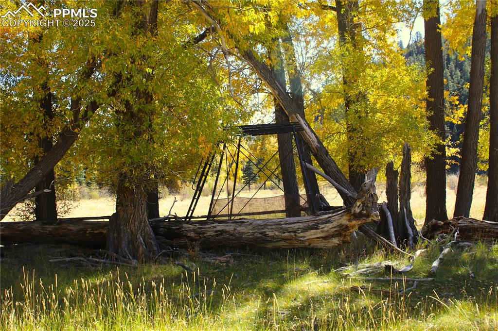 38938 Nf-250 Road Antonito CO 81120