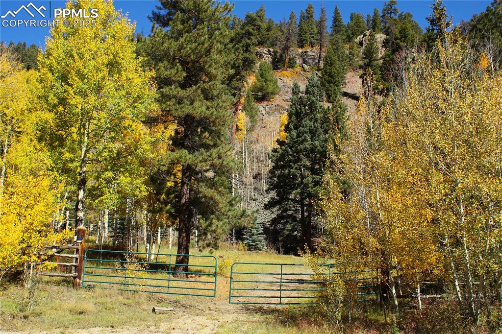38938 Nf-250 Road Antonito CO 81120