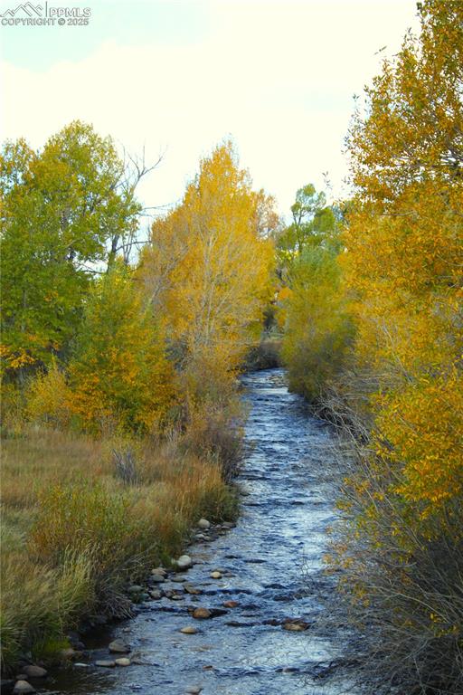 38938 Nf-250 Road Antonito CO 81120