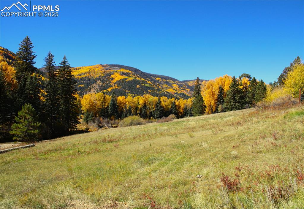 38938 Nf-250 Road Antonito CO 81120