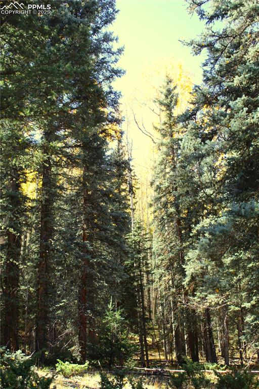 38938 Nf-250 Road Antonito CO 81120