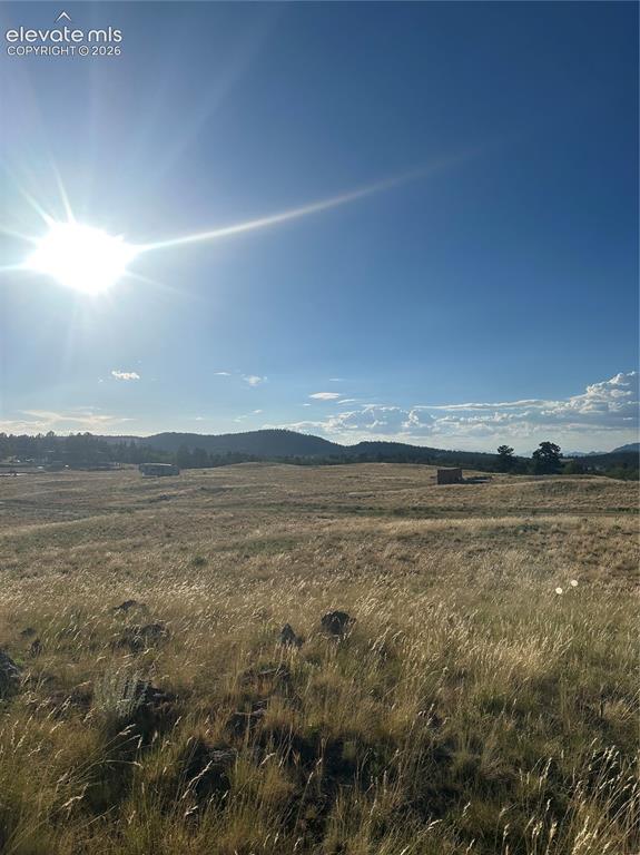 290 Castle Mountain Drive Florissant CO 80816