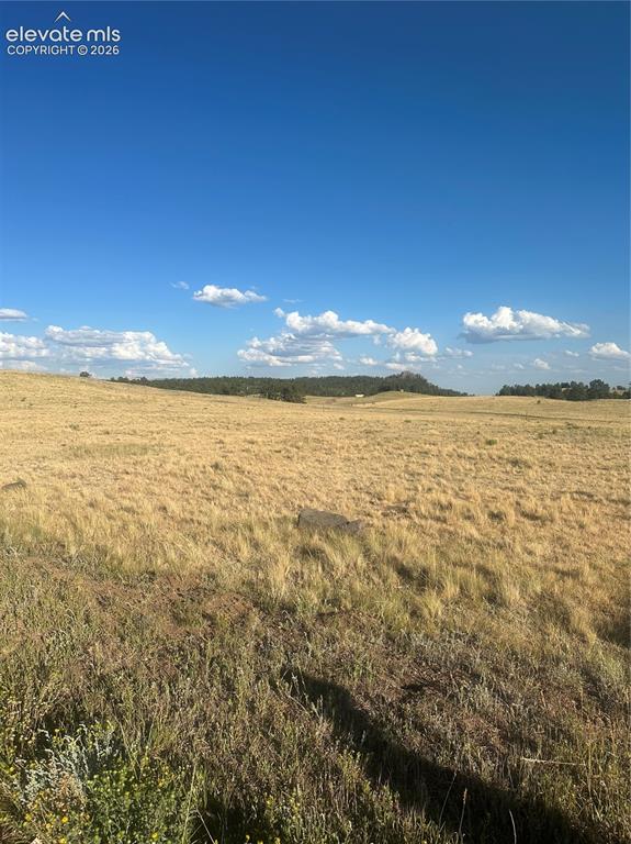 290 Castle Mountain Drive Florissant CO 80816