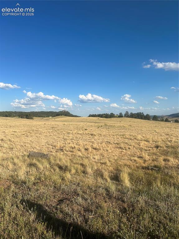 290 Castle Mountain Drive Florissant CO 80816