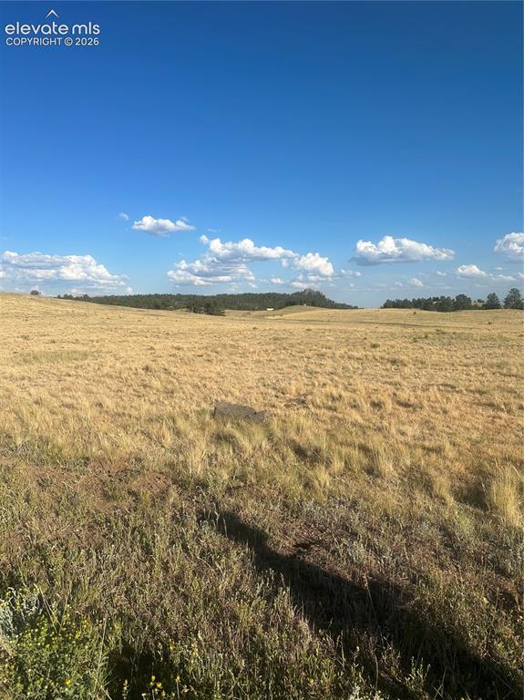 290 Castle Mountain Drive Florissant CO 80816