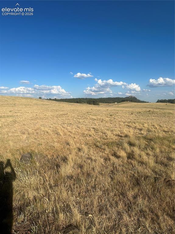 290 Castle Mountain Drive Florissant CO 80816