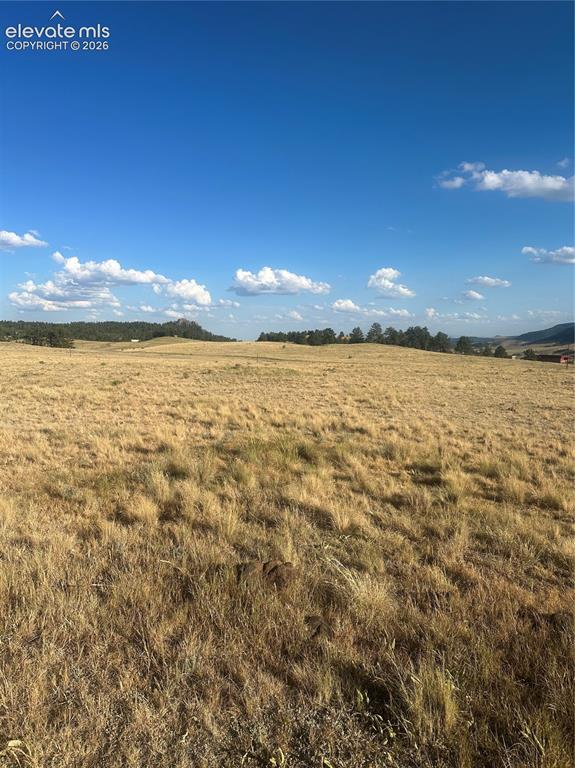 290 Castle Mountain Drive Florissant CO 80816