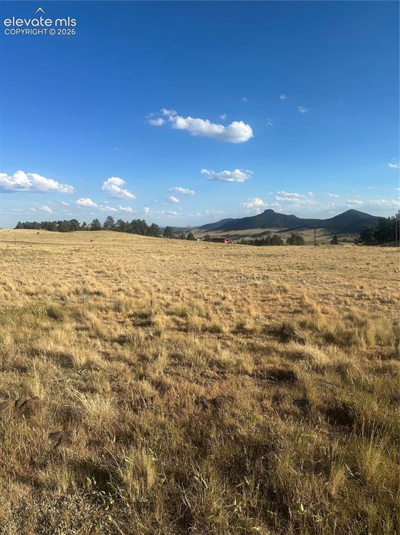 290 Castle Mountain Drive Florissant CO 80816