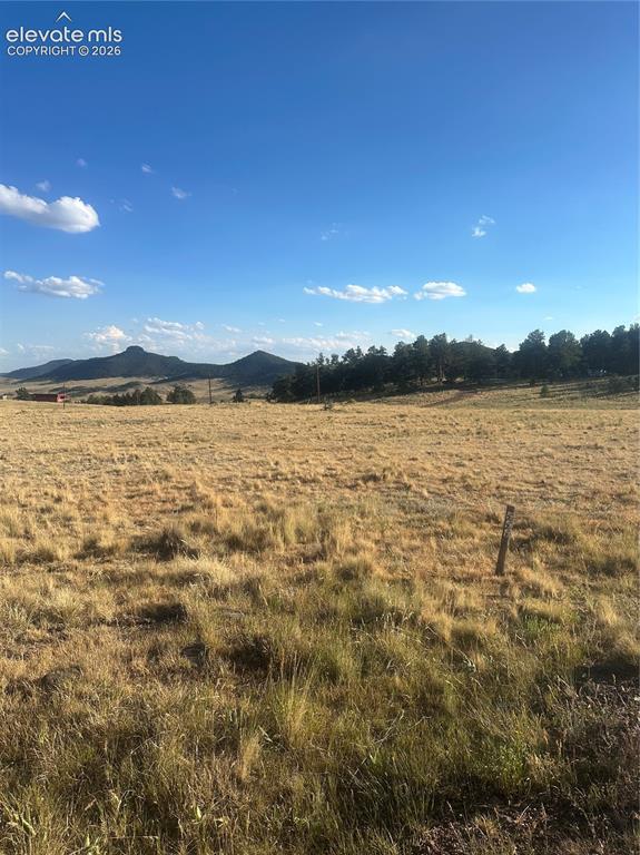 290 Castle Mountain Drive Florissant CO 80816