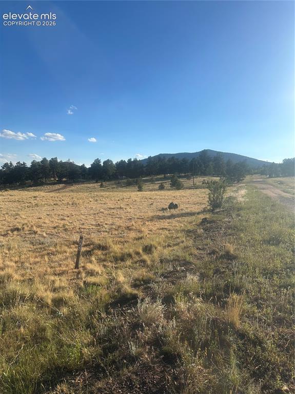 290 Castle Mountain Drive Florissant CO 80816