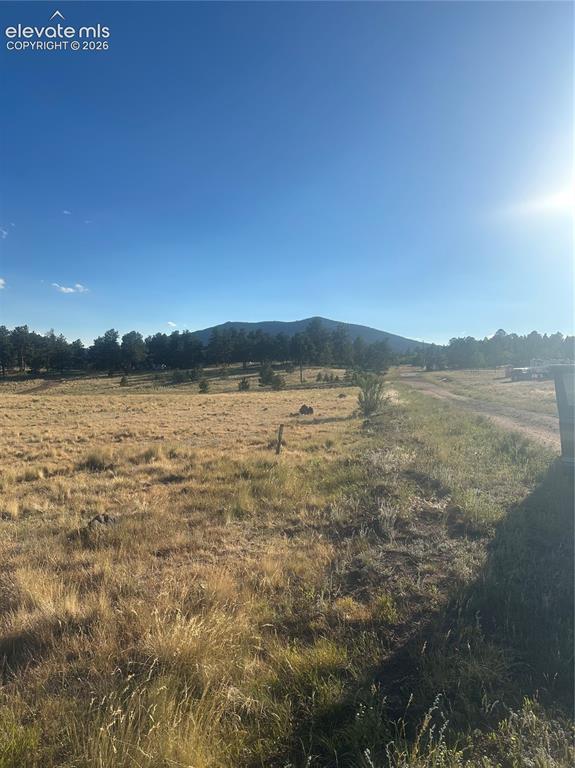 290 Castle Mountain Drive Florissant CO 80816