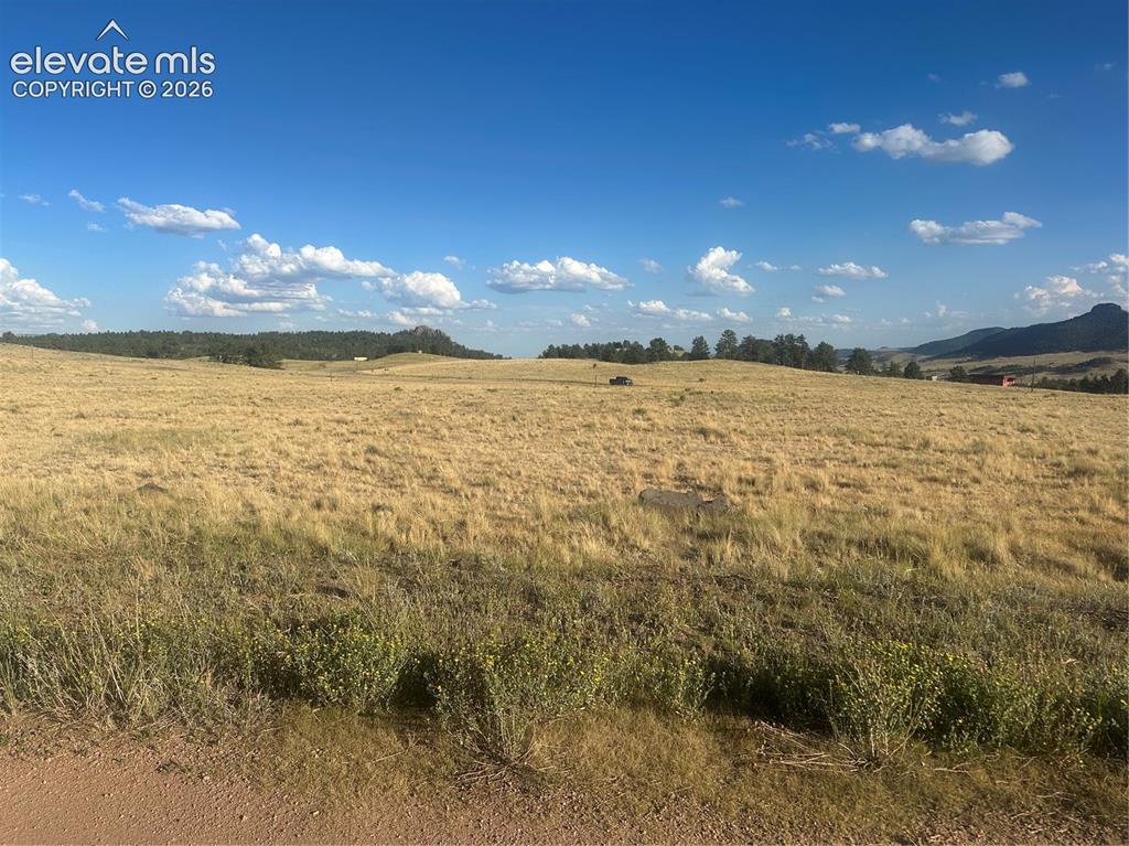 290 Castle Mountain Drive Florissant CO 80816