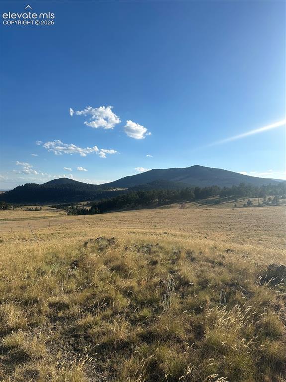 290 Castle Mountain Drive Florissant CO 80816