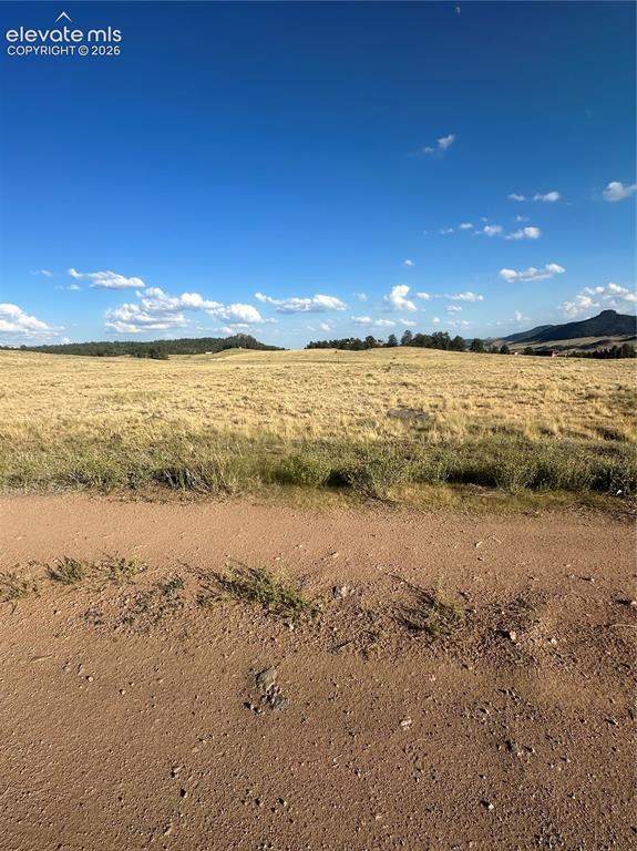 290 Castle Mountain Drive Florissant CO 80816
