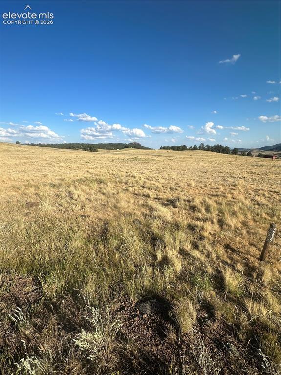 290 Castle Mountain Drive Florissant CO 80816