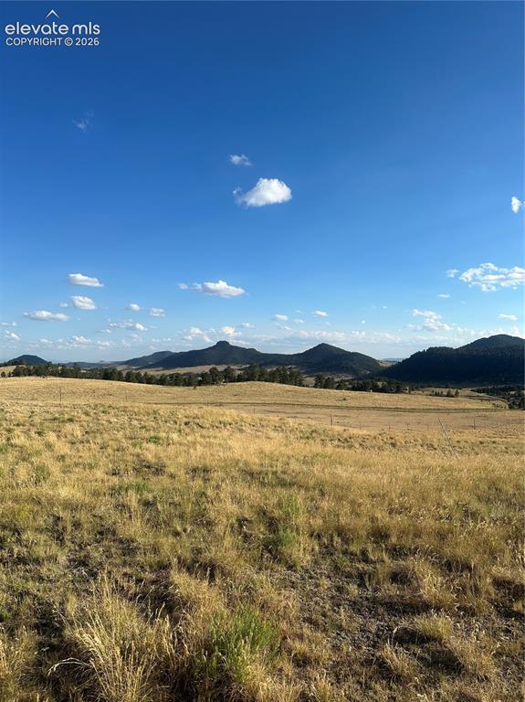 290 Castle Mountain Drive Florissant CO 80816
