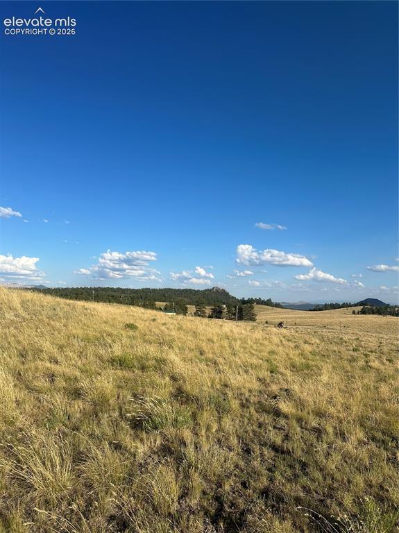 290 Castle Mountain Drive Florissant CO 80816