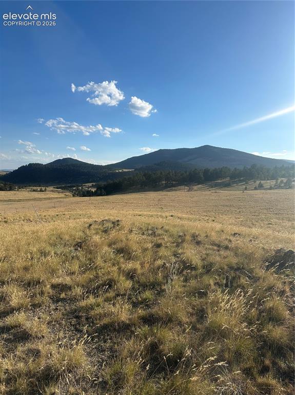 290 Castle Mountain Drive Florissant CO 80816