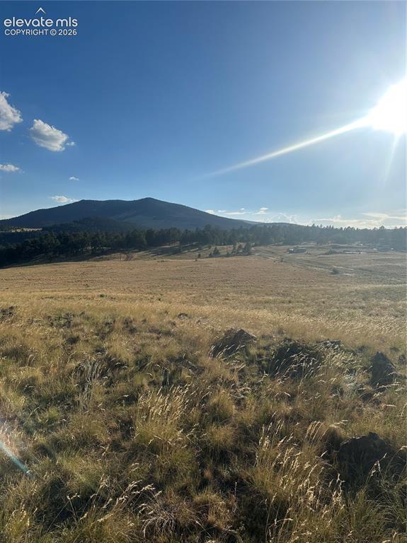 290 Castle Mountain Drive Florissant CO 80816