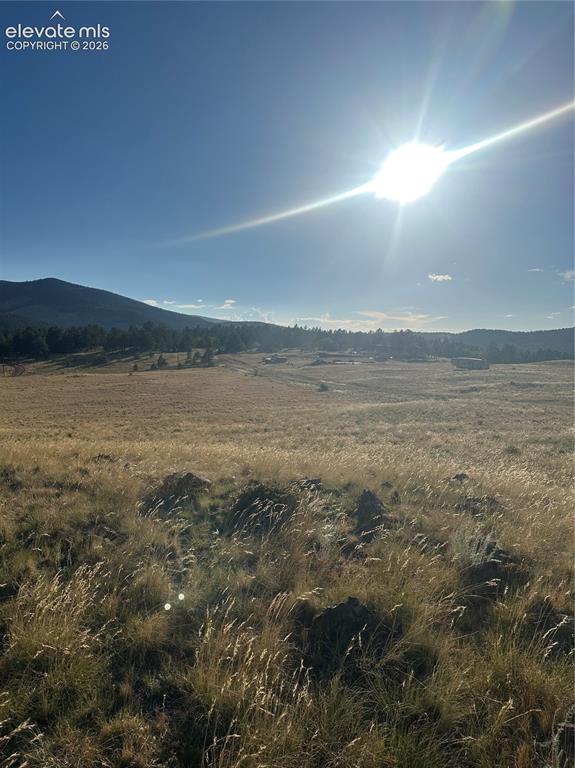 290 Castle Mountain Drive Florissant CO 80816
