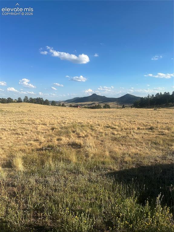 290 Castle Mountain Drive Florissant CO 80816