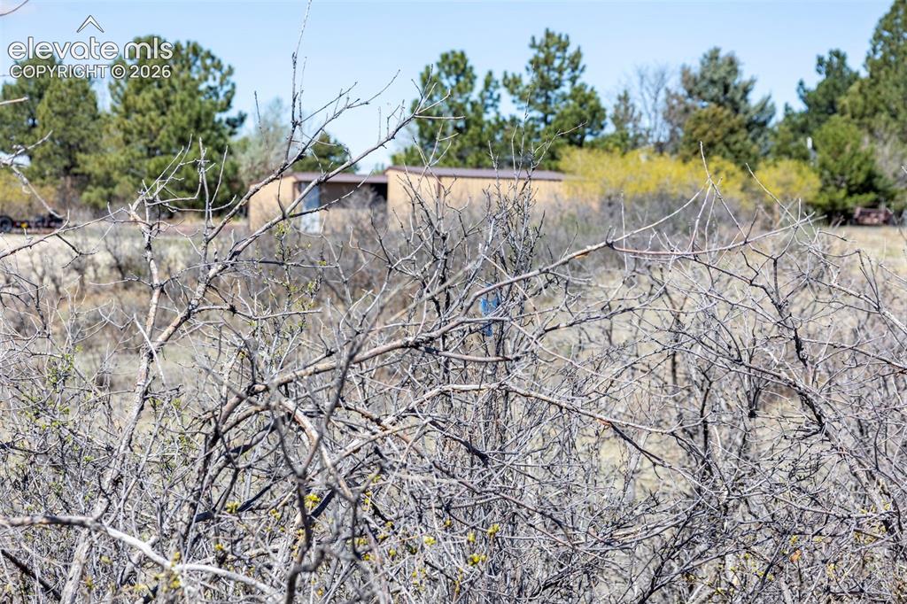1701 N Rocky View Road Castle Rock CO 80108
