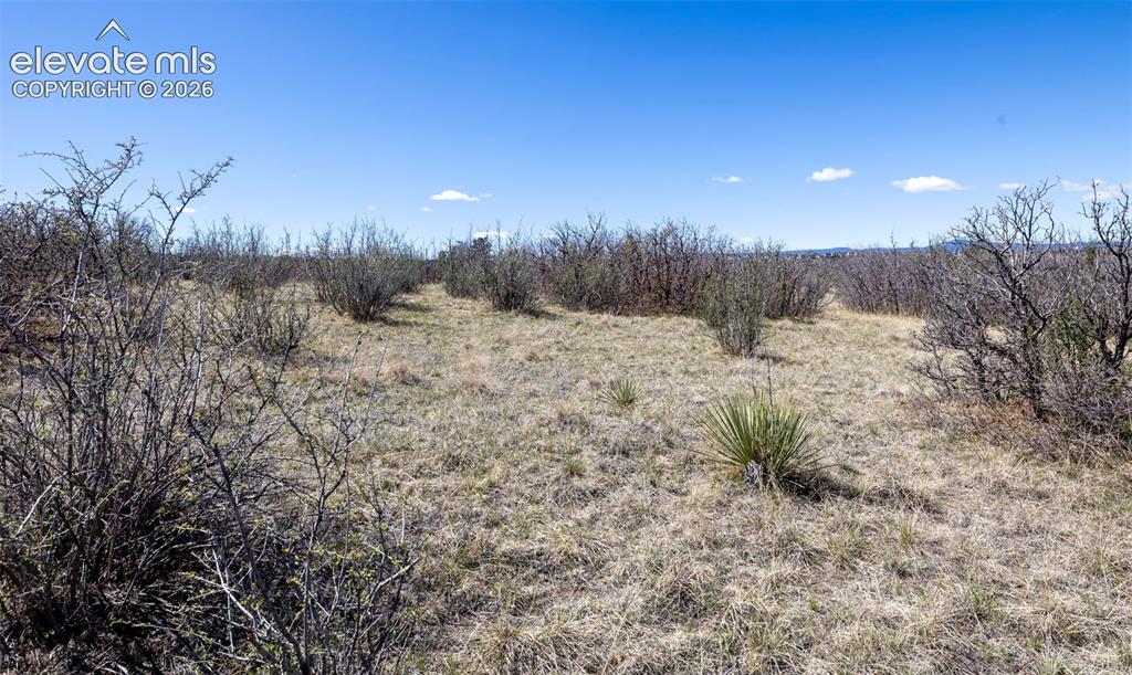 1701 N Rocky View Road Castle Rock CO 80108