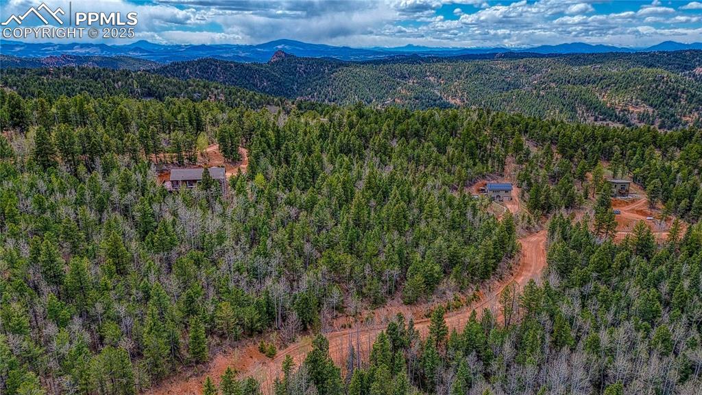 1218 Calcite Drive Divide CO 80814