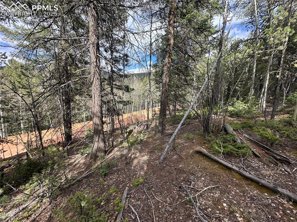 1218 Calcite Drive Divide CO 80814