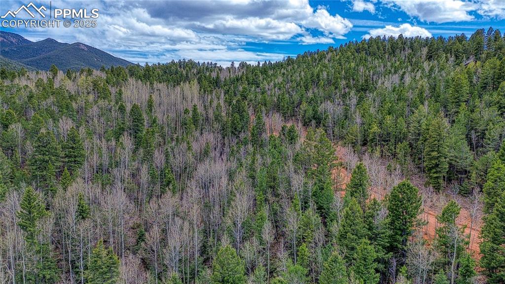 1218 Calcite Drive Divide CO 80814