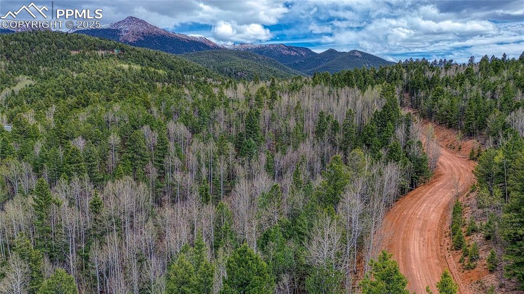 1218 Calcite Drive Divide CO 80814