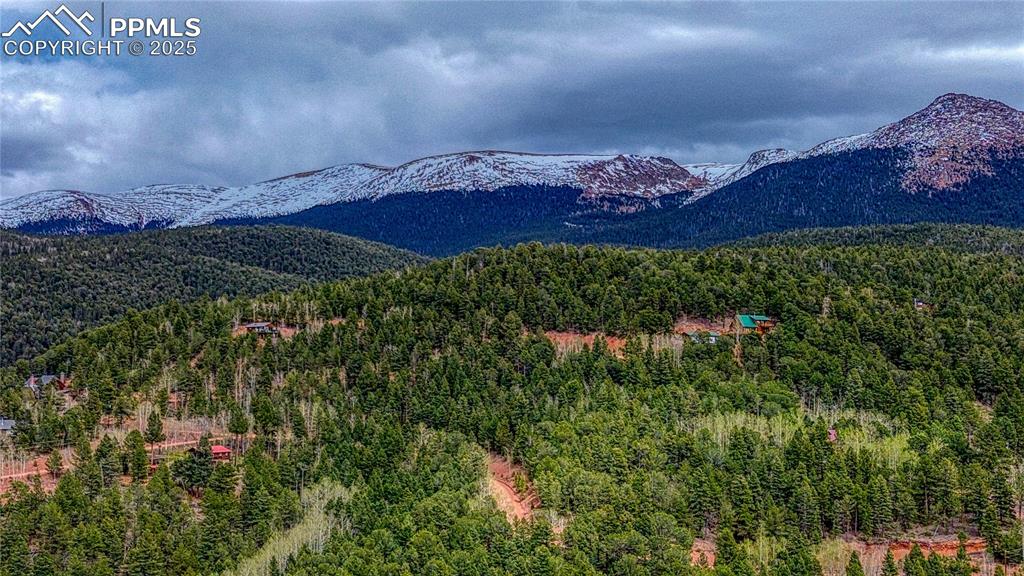 1218 Calcite Drive Divide CO 80814
