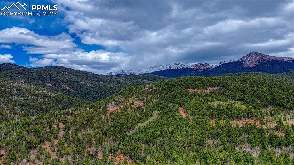 1218 Calcite Drive Divide CO 80814