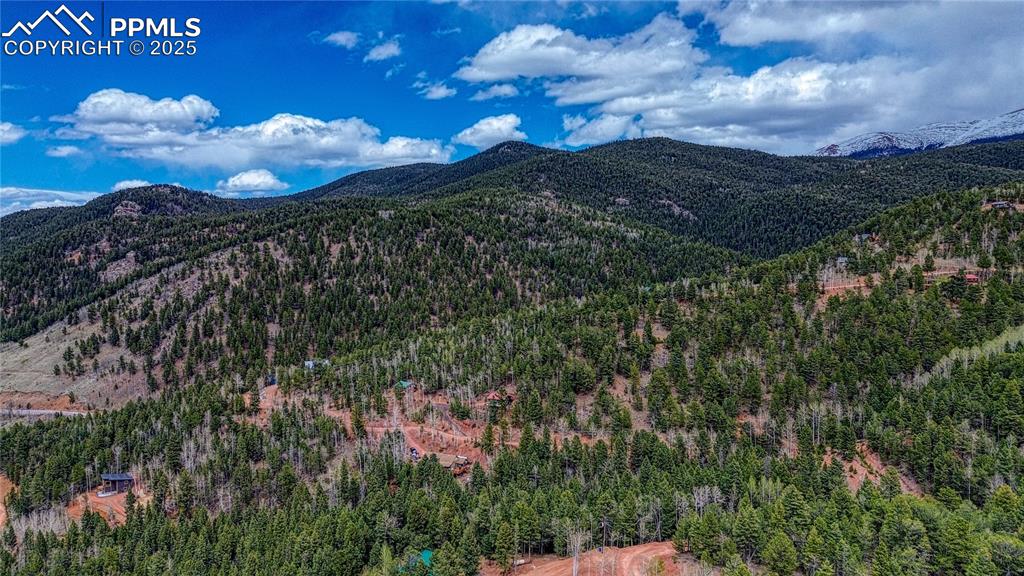 1218 Calcite Drive Divide CO 80814