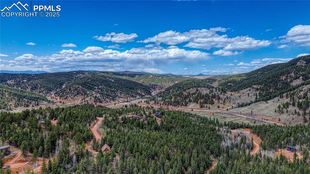 1218 Calcite Drive Divide CO 80814