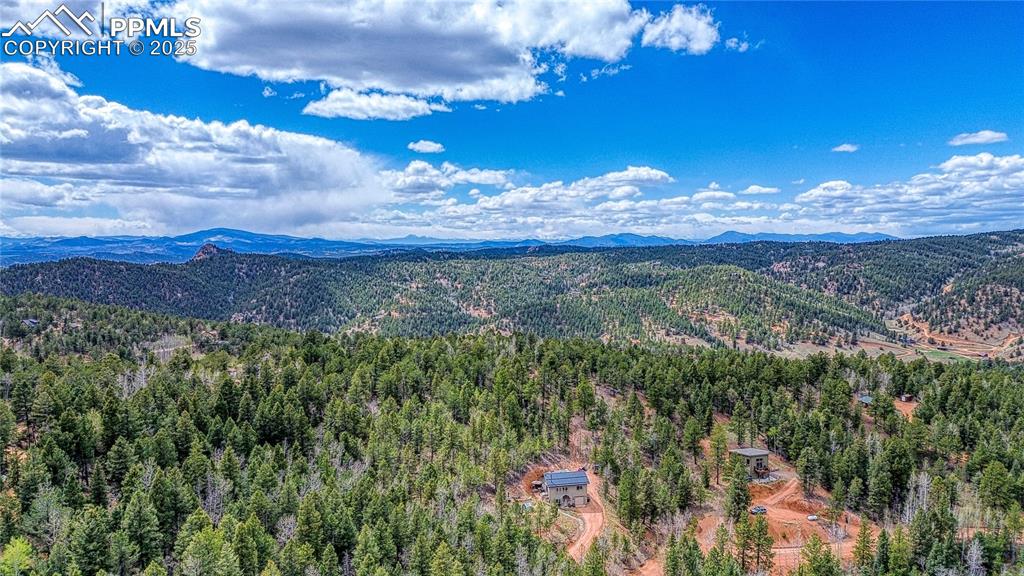1218 Calcite Drive Divide CO 80814