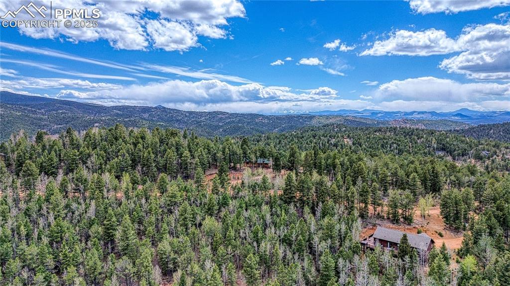 1218 Calcite Drive Divide CO 80814
