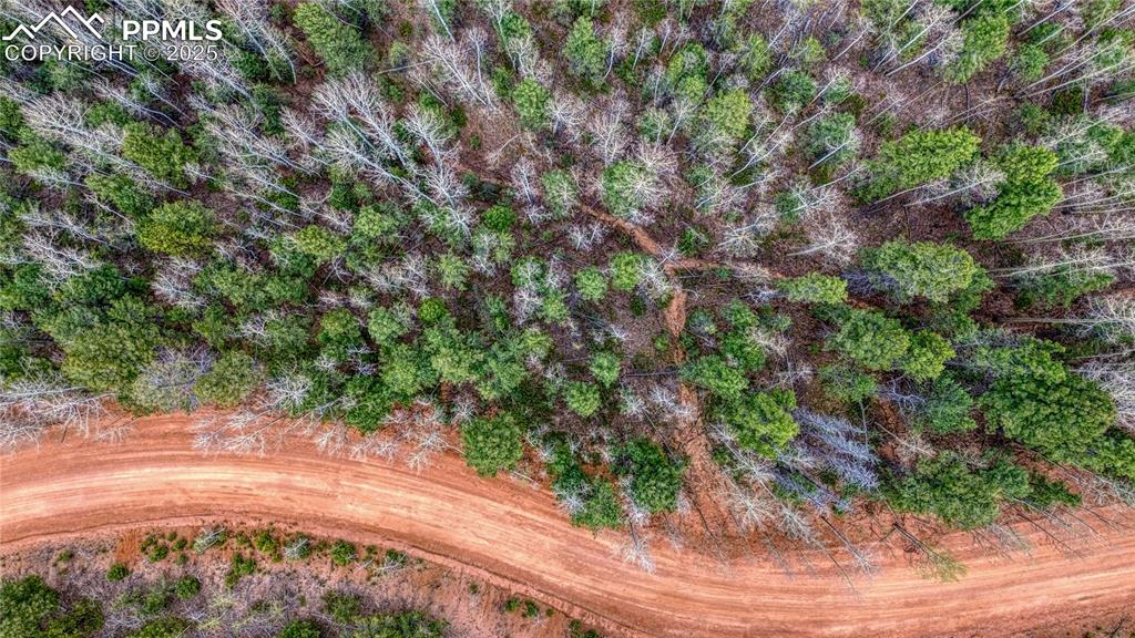 1218 Calcite Drive Divide CO 80814