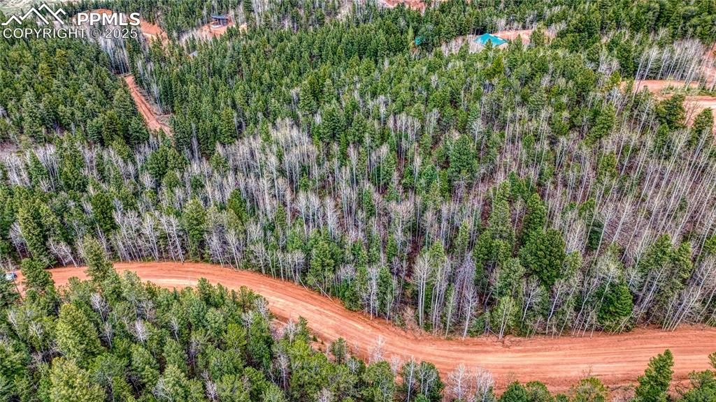 1218 Calcite Drive Divide CO 80814