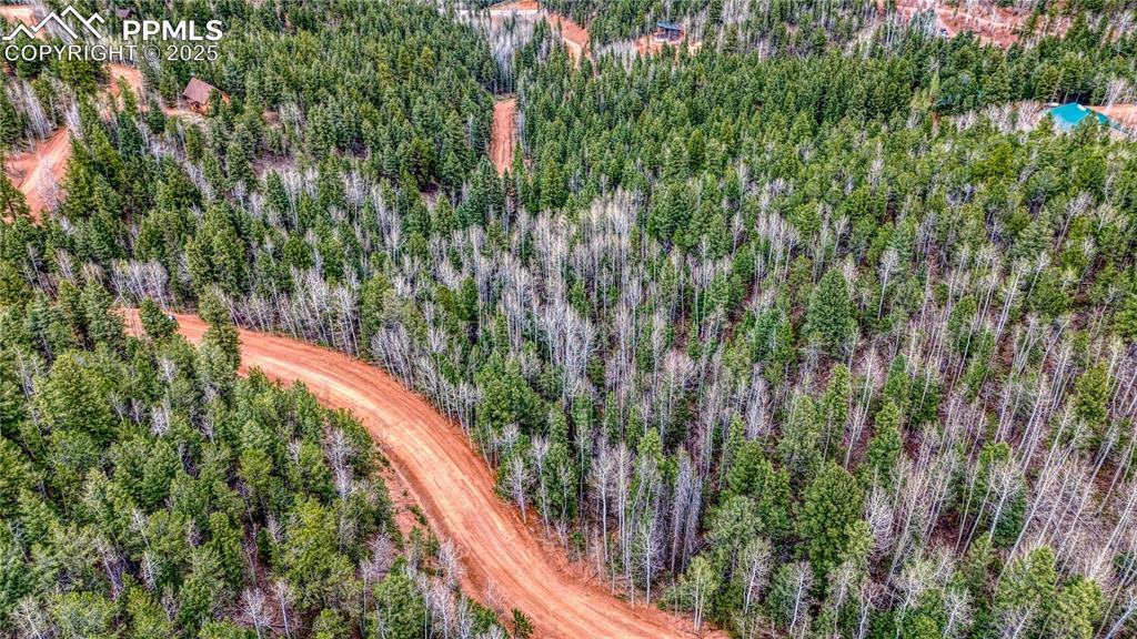 1218 Calcite Drive Divide CO 80814