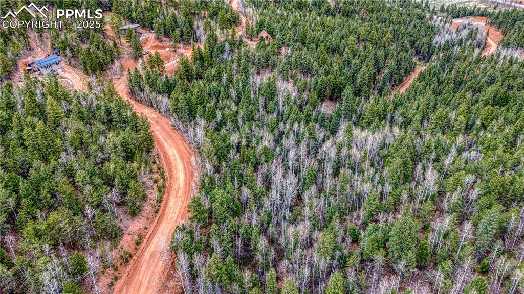1218 Calcite Drive Divide CO 80814