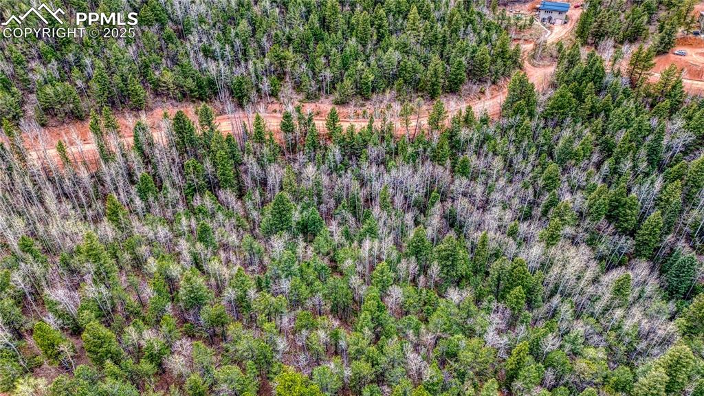 1218 Calcite Drive Divide CO 80814