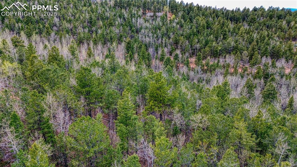 1218 Calcite Drive Divide CO 80814