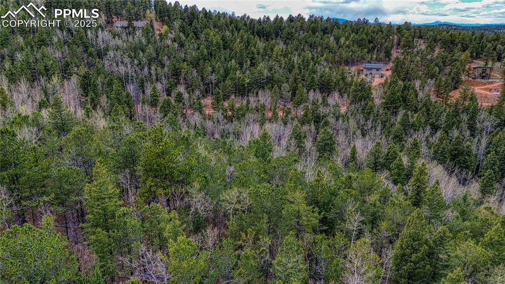 1218 Calcite Drive Divide CO 80814