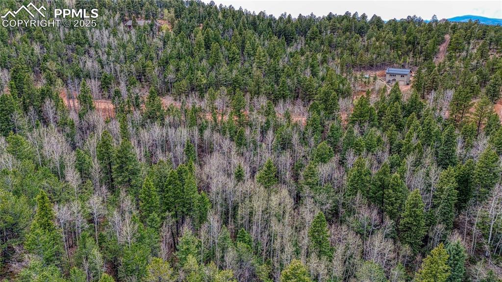 1218 Calcite Drive Divide CO 80814