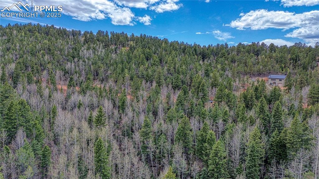 1218 Calcite Drive Divide CO 80814