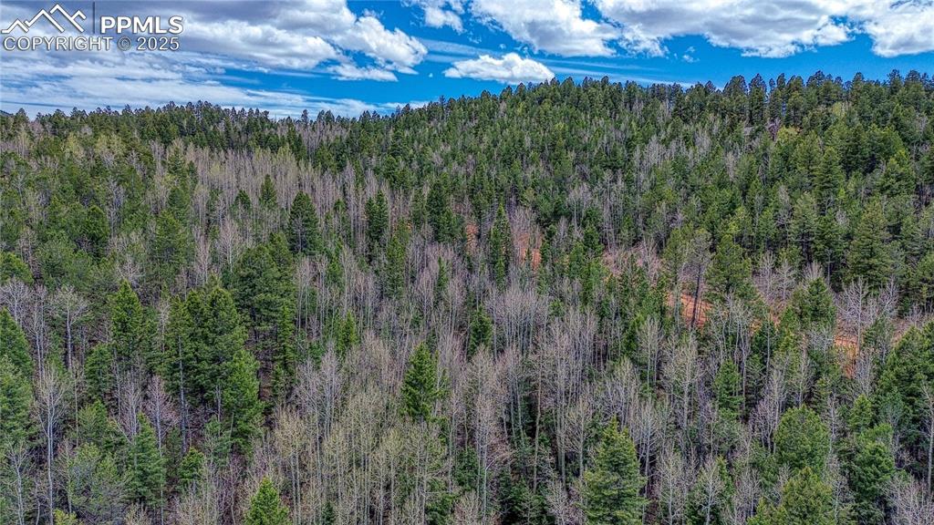 1218 Calcite Drive Divide CO 80814