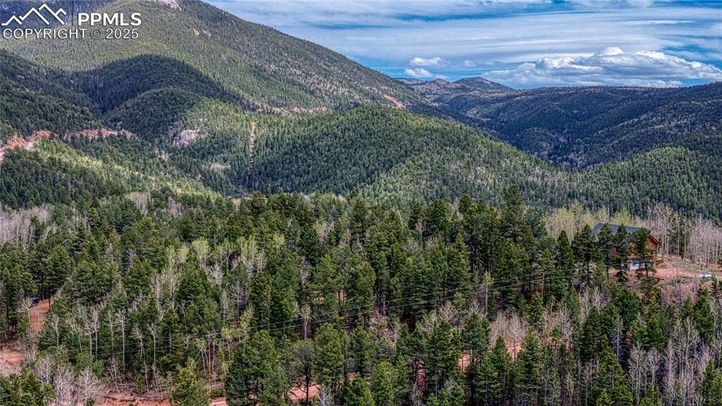 1218 Calcite Drive Divide CO 80814